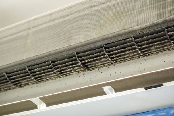 Professional Airduct Cleaning in Clifton, AZ